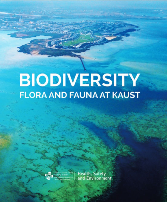 biodiversity_flora_and_fauna_at_kaust