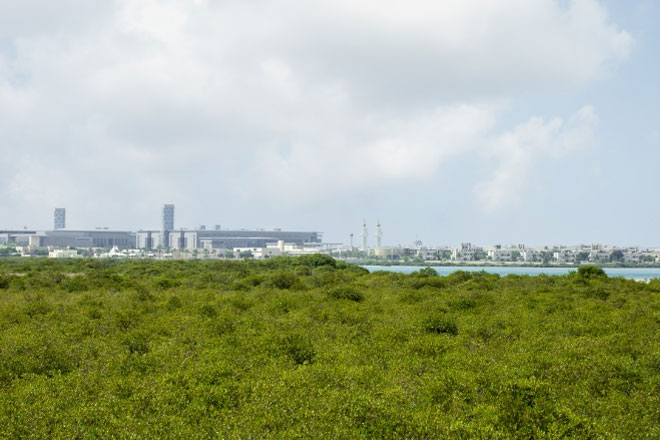 Kaust's Nature Conservation Area