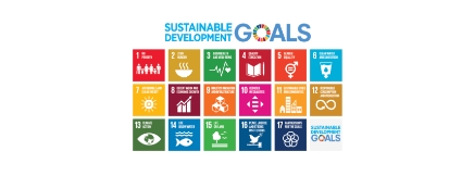 Un sustainable development goals
