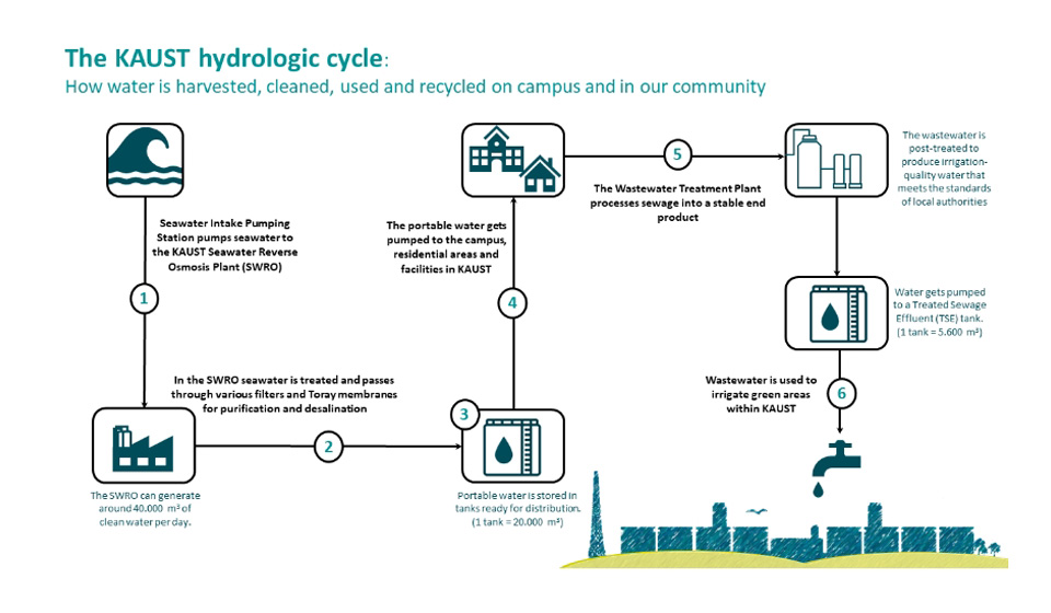 the_kaust_hydrologic_cycle