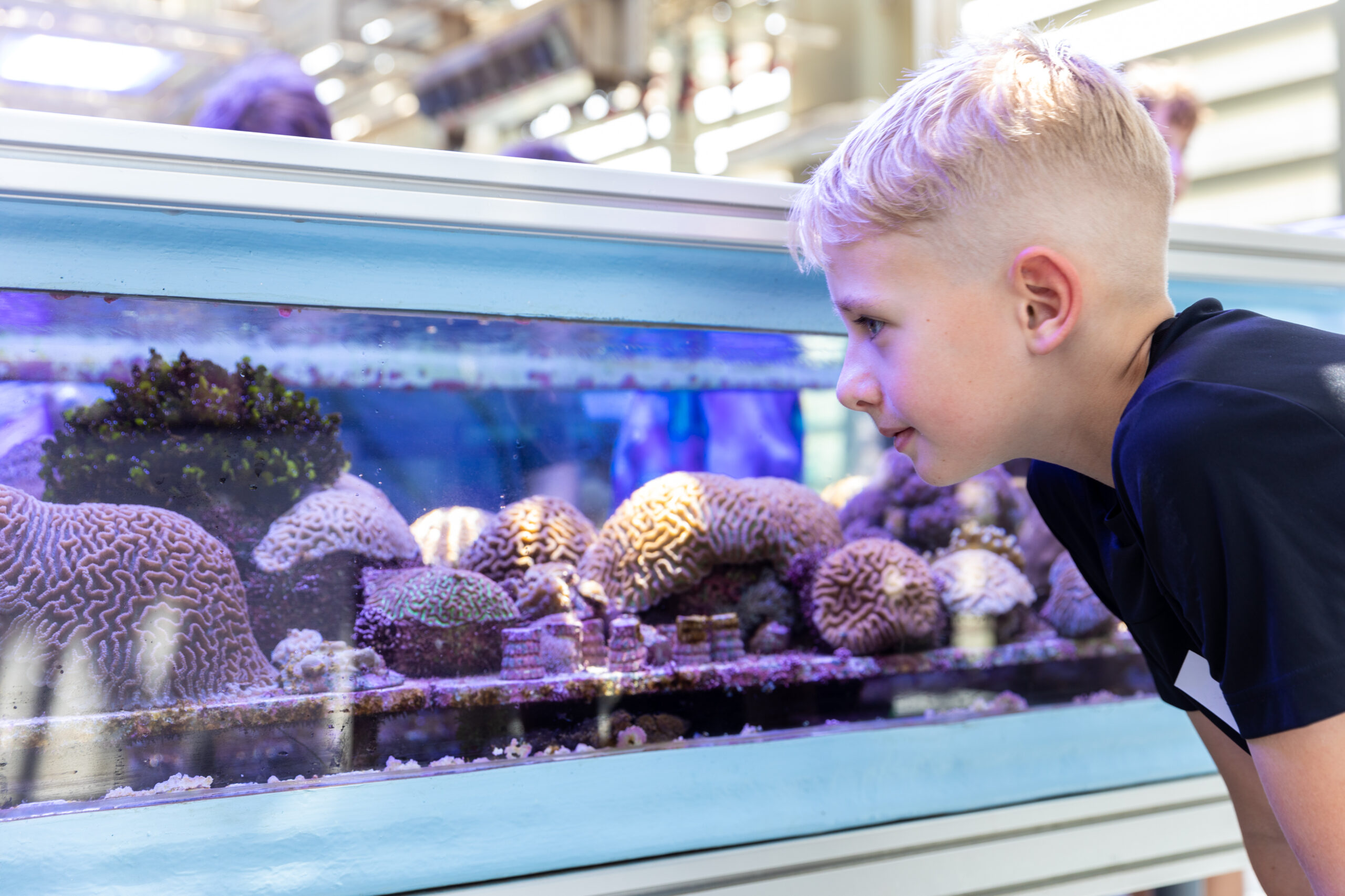 2022-06-08-world-ocean-day-161