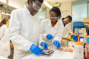 KAUSTSustainabilitySolarPanel-5